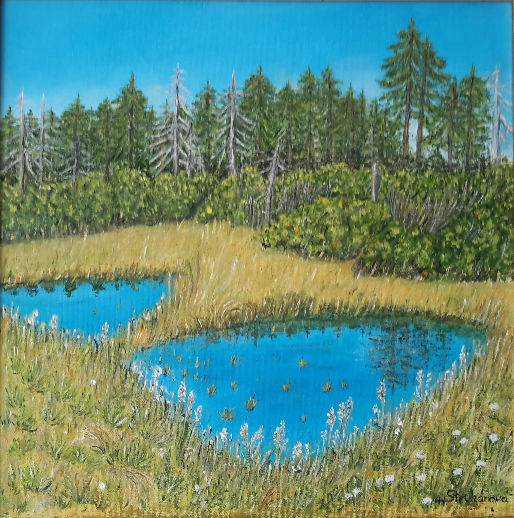 Prvek galerie